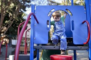 Bradenton Area Activities that Won’t Break the Bank