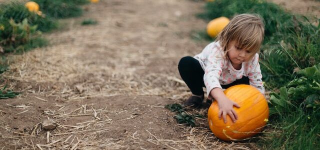 2022 Fall Events - Little girl picking up pumpkin